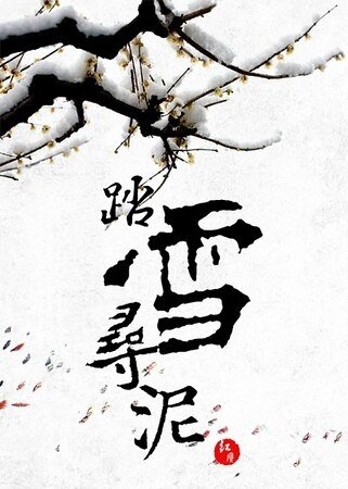 《踏雪寻泥》