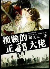 《撞臉的正邪大佬》