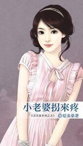 《小老婆拐来疼( 没天良系列之五) 》