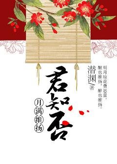 《月滿維揚君知否》