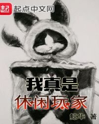 《我真是休闲玩家》
