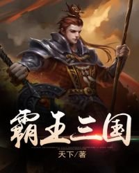 《霸王三国》