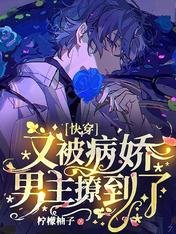 《快穿:又被病嬌男主撩到了》