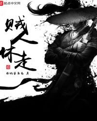 《賊人休走》