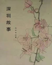 《深圳故事》