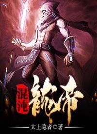 《混沌龙帝》