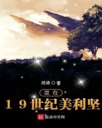 《混在19世紀美利堅》