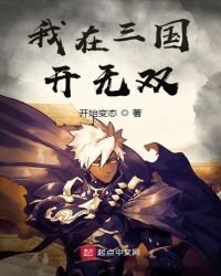 《我在三國開無雙》