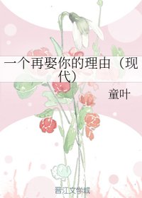 《一个再娶你的理由(现代)》