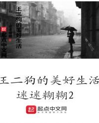 《王二狗的美好生活》