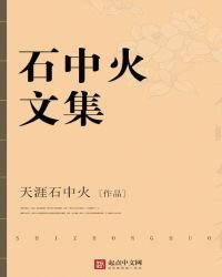 《石中火文集》