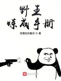 《野王煉成手冊》