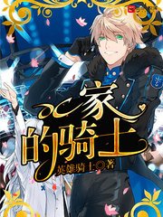 《DC家的騎士》