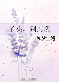 《丫頭,別惹我》