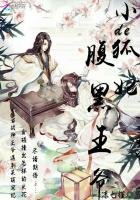 《腹黑王爺的小狐妃》