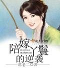 《陪嫁丫鬟的逆襲》