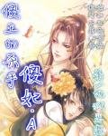 《傻王的殺手傻妃.A》