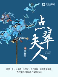 《点翠夫人》
