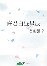 許君白晝星辰