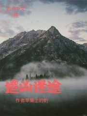 《追兇迷途》
