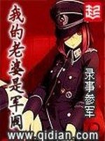 《我的老婆是军阀》