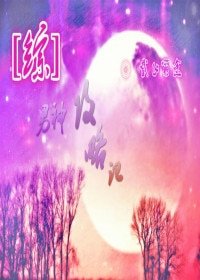 《(BG/综同人)男神攻略记/就算性别是女也是总攻》