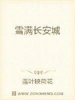 《雪滿長安城》