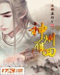《神州雁回》