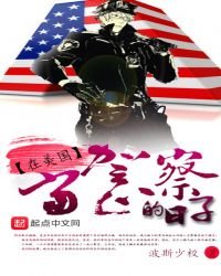 《在美国当警察的日子》