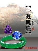 《一雙鷹瞳》