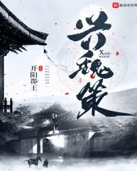《興魏策》