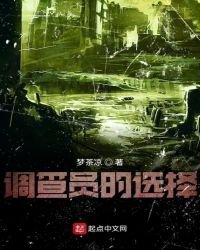 《调查员的选择》
