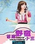《首席野蠻小三》