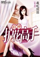 《特種護花高手》