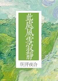 《此處風雪寂靜》