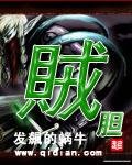 《賊膽》
