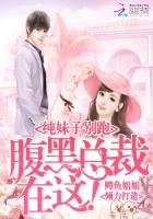 《純妹子別跑:腹黑總裁在這!》