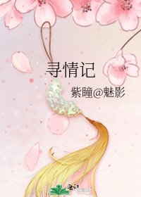 《尋情記》