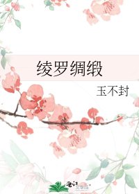 《綾羅綢緞》
