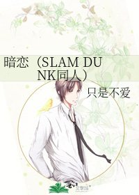 《暗恋(SLAM DUNK同人)》