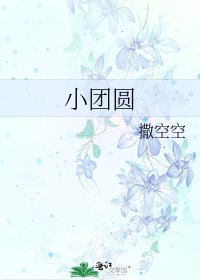 《小團圓》