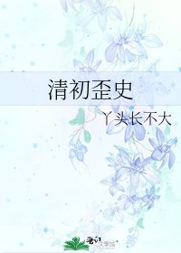 《清初歪史》
