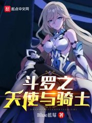《斗罗之天使与骑士》