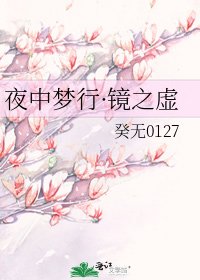 《夜中夢行·鏡之虛》
