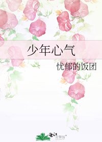 《少年心氣》