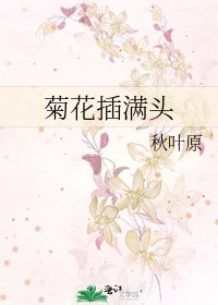 《菊花插滿頭》