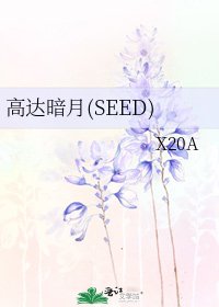 《高达暗月(SEED)》