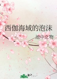 《西伽海域的泡沫》