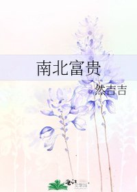 《南北富貴》