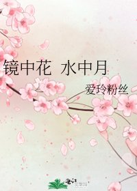 《镜中花 水中月》